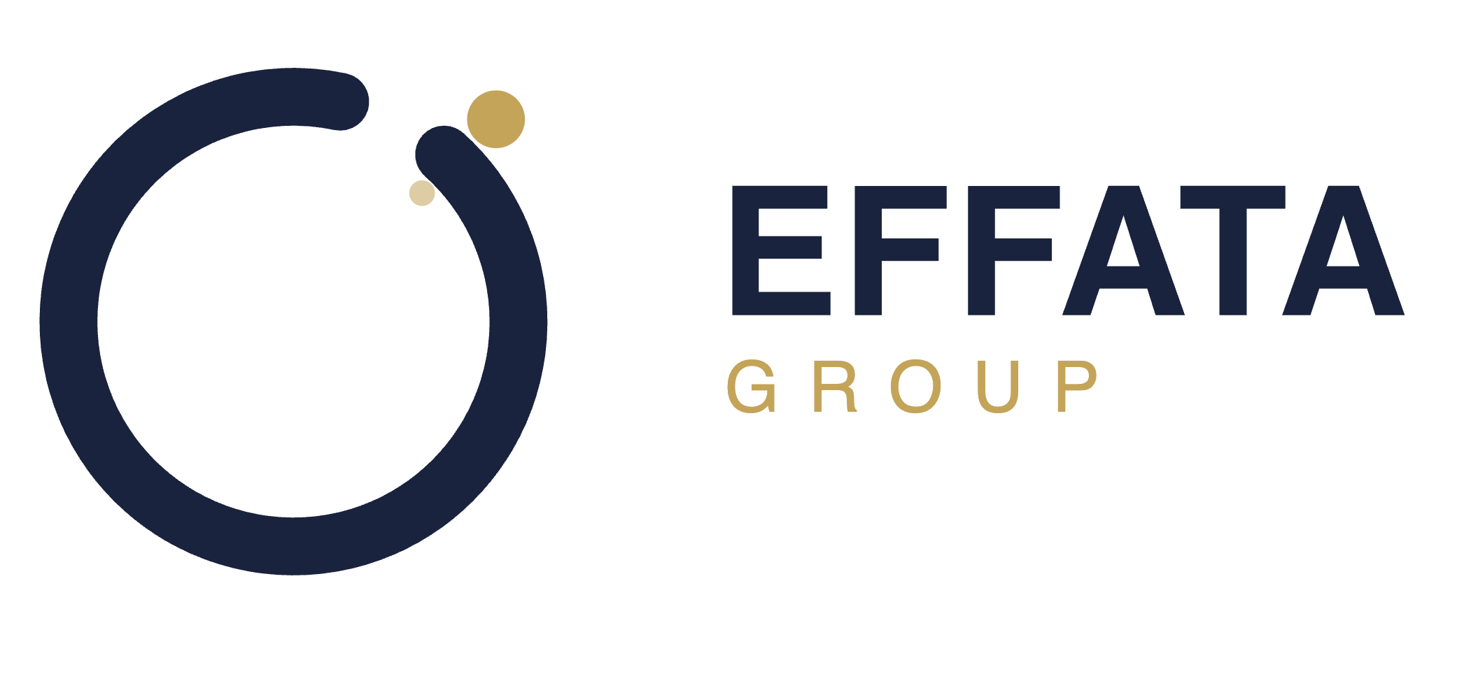 EFFATA GROUP LLC